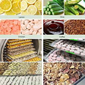 Instant Coffee Vacuum Candy Commercial Meat Liofilizador Freeze Drier <b>Drying</b> Dryer Machine <b>Equipment</b> for Precio - Product Image 5