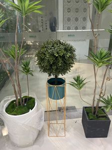 Pohon Topiary Dekorasi Berkualitas Tinggi <span class=keywords><strong>Bonsai</strong></span> Thuja Buatan / Pohon Cypress Buatan untuk Dekorasi Taman - Product Image 5