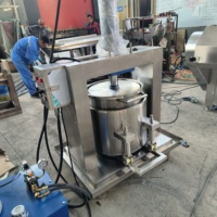 Elektrische hydraulische automatische koudpers sapcentrifuge, nieuwstaat - voor het verwerken van groenten, citroenen, fruit, wijn, kersen