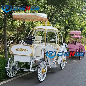 Carruaje de Princesa Cenicienta, Carruaje Blanco con Forma de Calabaza, Carruaje Eléctrico Romántico de Dos Filas para Bodas, Venta Directa de Fábrica - Product Image 6