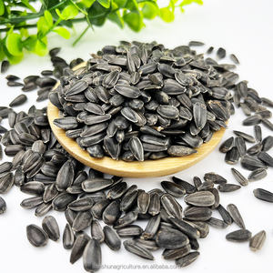 Vente en gros <span class=keywords><strong>de</strong></span> <span class=keywords><strong>graines</strong></span> <span class=keywords><strong>de</strong></span> tournesol noires <span class=keywords><strong>de</strong></span> petite taille, origine chinoise <span class=keywords><strong>de</strong></span> haute qualité pour la nourriture pour <span class=keywords><strong>oiseaux</strong></span> - Product Image 4