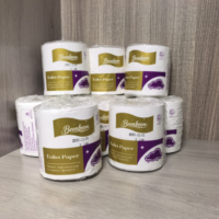 Papier toilette en rouleaux, papier toilette doux, écologique, certifié OEM, personnalisé, bon marché, 2 plis, pâte de bois vierge