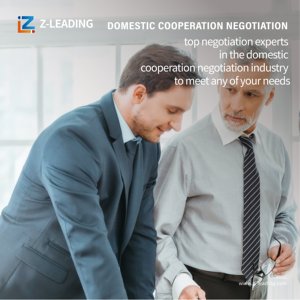 Z-Leading Logistics, Envío de Carga LCL+Express de China a Italia para Mercancías Generales y Peligrosas con Servicios de Seguro - Product Image 6