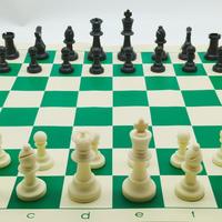 Jeu d'échecs portable XLAN, échiquier pliable en cuir avec tube de rangement pour pique-nique en plein air, jeux en famille