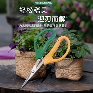 กรรไกรตัดแต่งกิ่งอย่างดี สแตนเลส สีเหลืองเขียว แบบใช้มือขวา อุปกรณ์ทำสวน - Product Image 2
