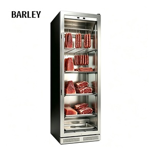 Compressor Stainless Steel Chiller Age Freezer Dried Home Beef UV Machine Dry Age Meat <b>Refrigerator</b> Single-Zone Design Ideal for - Product Image 4