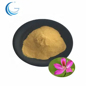 Bauhinia forficata extract powder High Quality extract of bauhinia flower