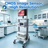 Endoscope vétérinaire EURVET CMOS 8,0 mm, système complet de gastroscope vétérinaire avec moniteur, chariot et centre vidéo
