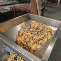 Plateau vibrant en acier inoxydable pour dosage de précision, technologie de pointe, prêt pour le lavage, pour usine de boissons aux États-Unis