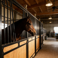 Vente en gros de boxes pour chevaux de haute qualité, adaptées aux chiens et aux lapins, tailles et couleurs personnalisées, acier, bambou, inox, garantie 1 an