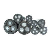 Câble Électrique Souterrain 0.6/1kV 16/25/35/50 mm² XLPE Isolé PVC 4 Brins en Aluminium/Cuivre pour Bâtiment