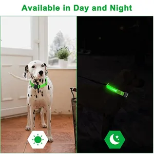 Collar LED brillante para perro, luz LED brillante, recargable, luminoso, luz antipérdida, para mascota pequeña