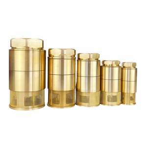 Haute qualité double porte vanne de fond station-service réservoir d'huile double porte <span class=keywords><strong>clapet</strong></span> <span class=keywords><strong>anti</strong></span>-<span class=keywords><strong>retour</strong></span> crépine en cuivre - Product Image 4