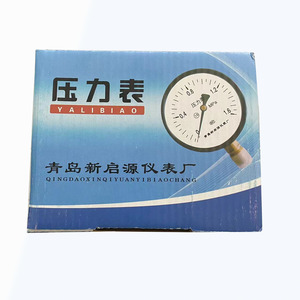 Manomètre analogique Y-100 0-1,6 Mpa en acier de l'usine d'instruments Qingdao Xinqi yuan - Product Image 3