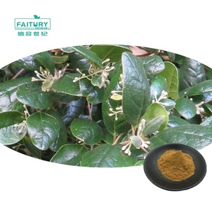 Faitury bán buôn peumus <span class=keywords><strong>boldus</strong></span> chiết xuất bột boldo lá chiết xuất - Product Image 1