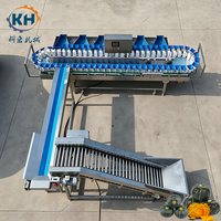 Automatische weeg- en sorteerinstallatie voor fruit en groenten voor de verwerking van verse oogsten op landbouwbedrijven.