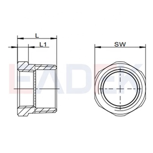 ข้อต่อท่อหล่อ1 "ชาย NPT ถึง1/2" หญิง NPT สแตนเลสลบลด <span class=keywords><strong>Hex</strong></span> <span class=keywords><strong>Bushing</strong></span>