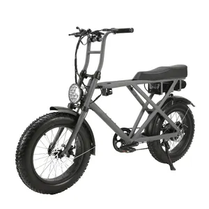 슈퍼 파워 52V 1000W 모델 전기 사이클 빈티지 듀얼 모터 자전거