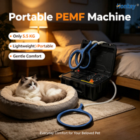 Appareil de thérapie magnétique PEMF pour animaux, formation gratuite, relaxation des muscles tenseurs, appareil magnétique PEMF pour centre de réadaptation animale