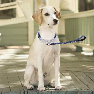 Haoyueer Martingale Perro Y Correa Set, Cadena De Acero Inoxidable, Collar De Entrenamiento Sin Tirones Con Diseño De Flores, Para Pequeños, Medianos, - Product Image 2