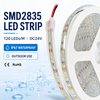 Bande lumineuse LED haute densité 2835, 120 LED/m, étanche IP67, revêtement silicone, 12V 24V, pour décoration de jardin et de bâtiment