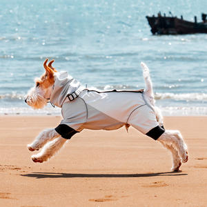 Chubasquero de verano personalizable para perros, impermeable, a prueba de viento, ajuste perfecto para galgos, Golden Retrievers franceses - Product Image 1