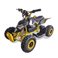 Best-seller européen, nouveau mini quad électrique 36V 500W pour enfants, buggy de plage/ATV modèle SHEATV-001