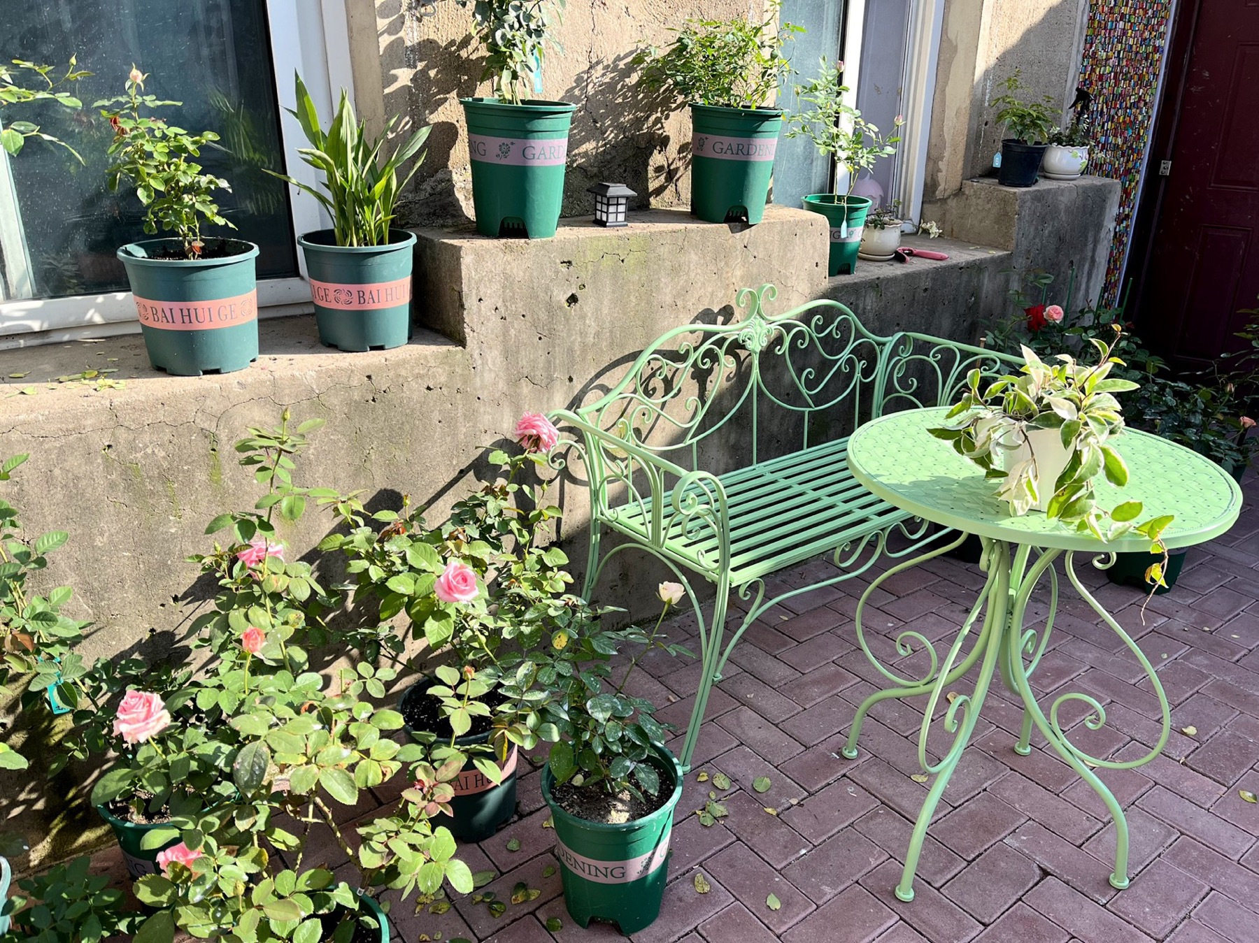 Double chair + 60cm diameter table