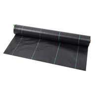 Rouleau de tapis de mauvaises herbes en tissu UV de stabilisation Couvre-sol agricole Pépinière Membrane de contrôle des mauvaises herbes Tapis de mauvaises herbes tissé en PP noir