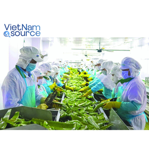 La mejor venta de Aloe Vera de Vietnam: calmante, hidratante 100%, producto agrícola fresco, Aloe Vera de Vietnam Source - Product Image 4