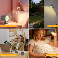 Nouvelle applique murale LED avec machine à bruit blanc, batterie rechargeable 2200 MAh intégrée à l'intérieur, 30 bruits blancs apaisants pour le sommeil