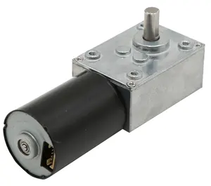 Động Cơ TT 12V/24V 100W Không Thấm Nước Không Chổi Than Mô-men Xoắn Lớn DC Gear Motor Với Worm Hộp Số Cho Cửa Trượt TWG4058-TEC3635