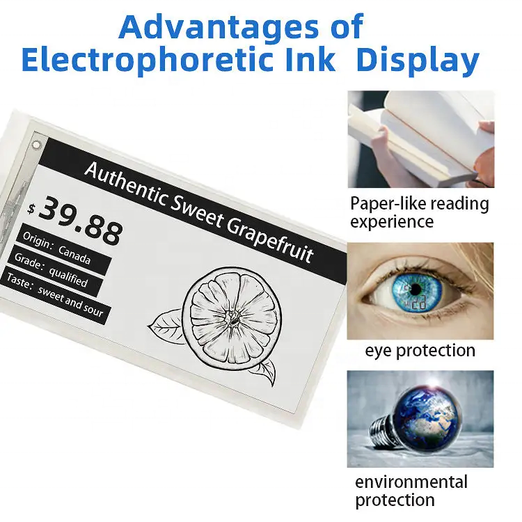 How to Choose the Best E-Ink Display with Color: A Complete Buying Guide