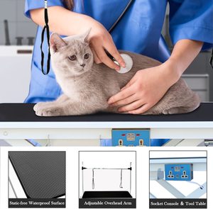 Elektrische Heftafel Voor Huisdieren Met Portaalframe Voor Katten En Honden, Opvouwbare Verzorgingstafel Om In Te Baden - Product Image 2