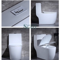 Sanitaire Salle de bain Cuvette de toilette Siphonic en céramique Siège de toilette monobloc