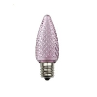 Lumières de Noël C9 de qualité commerciale les plus brillantes ampoule LED décorations de vacances en plein air blanc chaud