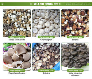 Hongo <span class=keywords><strong>Shiitake</strong></span> congelado IQF a granel entero 1/4 corte setas mixtas setas congeladas Nameko Oyster Boletus Venta caliente - Product Image 5