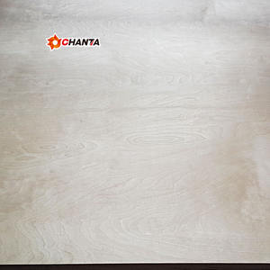 Lastra in <span class=keywords><strong>compensato</strong></span> di betulla pieno da 18 <span class=keywords><strong>Mm</strong></span> per fustellatura a taglio Laser - Product Image 2