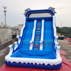Structure de jeu extérieure pour enfants, toboggan aquatique gonflable à double piste, thème vague, avec piscine, en forme de dauphin. - Product Image 1