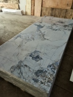 Panneau décoratif de mur de modèle personnalisé léger en plastique 1220 mm feuille intérieure panneau de marbre de PVC pour le mur