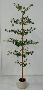 Planta Artificial de Toona Sinensis <span class=keywords><strong>en</strong></span> Maceta, Decoración de Interiores para el Hogar, con Soporte de Seda, Ideal para la Sala de Estar - Product Image 2