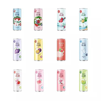 Boissons Asiatiques en Gros Rio Drinks 330ml Assortiment de Boissons Fruitées à Faible Teneur en Alcool Boissons Exotiques Cocktails en Canettes Combinaison de Vins en Conserve