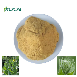 ムリンエキス<span class=keywords><strong>Verbascum</strong></span> <span class=keywords><strong>Thapsus</strong></span>エキス粉末ムリンエキス - Product Image 3