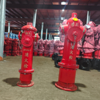 Système de protection incendie bidirectionnel à colonne d'incendie à double sortie de type humide en fonte ductile