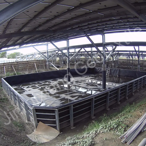 Géomembrane imperméable en HDPE |   Feuille de polyéthylène haute densité texturée/transparente - Meilleur <span class=keywords><strong>prix</strong></span> - Product Image 4