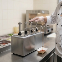 Distributeur de condiments en acier inoxydable à 4 pompes, distributeur de comptoir à 4 compartiments pour buffet, cafétéria