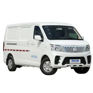 Changan Mpv Familie/Business Dual Purpose Elektro Van Fracht fahrzeug silbrig/weiß Neuwagen silbrig/weiß 7 Sitze
