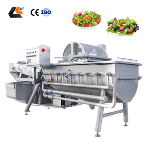 Laveuse de légumes à feuilles à prix d'usine, machine à laver les légumes, laveuse de salades à l'ozone, machine à laver le gingembre - Product Image 3