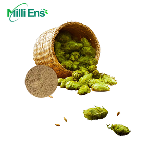 Bột chiết xuất hoa bia cao cấp, chiết xuất hoa bia dùng để nấu bia, bột chiết xuất hoa bia độ tinh khiết cao - Product Image 3