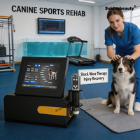 Appareil populaire de thérapie par ondes de choc non invasives pour les blessures sportives et le traitement de la cellulite, équipement de thérapie par ondes de choc pour animaux de compagnie